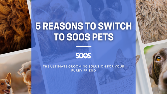 5 Reasons to Switch to Soos Pets: The Ultimate Grooming Solution for Your Furry Friend