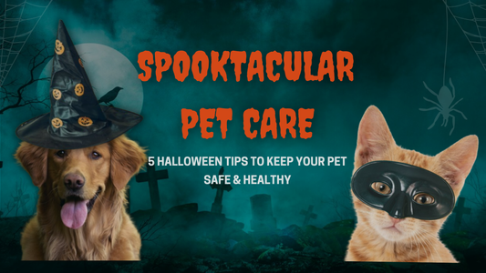 Spooktacular Pet Care: 5 Halloween Tips to Keep Your Pet Safe & Healthy